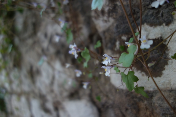 20130501 182838